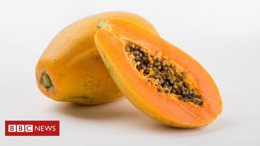 452497265525 20616979 10155064962591026 6934617954464082233 o