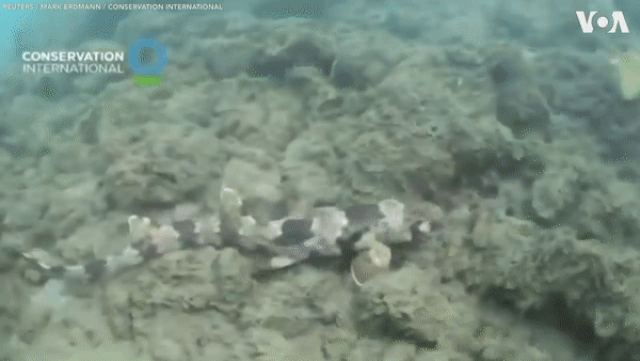 dai loan trung quoc trai qua ngay thang sau nong nhat trong 124 nam qua