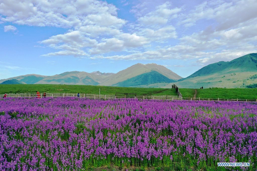 Ngắm cảnh bốn mùa ở ngôi làng đẹp nhất Trung Quốc