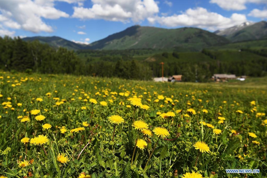 Ngắm cảnh bốn mùa ở ngôi làng đẹp nhất Trung Quốc