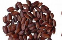 cong nghe chon loc tre em