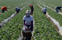 ty le that nghiep tai canada thap nhat 40 nam qua