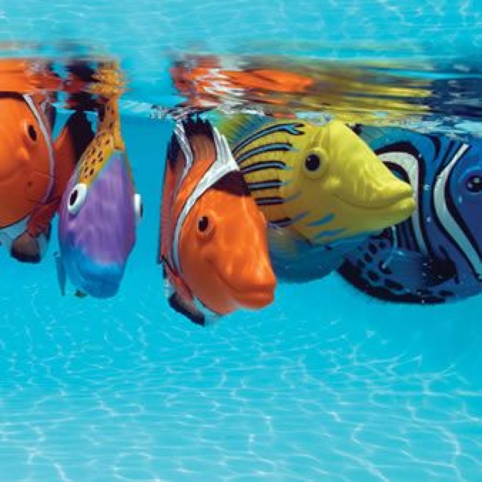 song bac bi hacker tan cong qua be ca