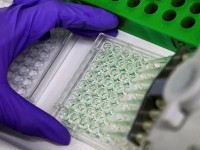 phan lan se tap tran voi my va thuy dien