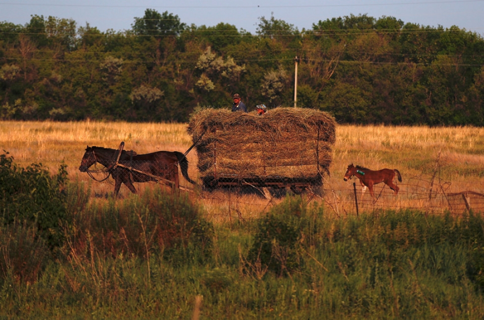 giac mo bong da o ngoi lang nga duoc tiep suc giua mua world cup