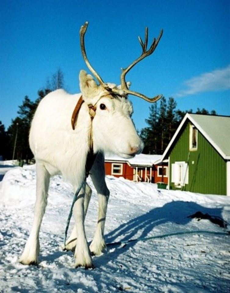 8 noi dep quyen ru nhat dat nuoc thuy dien