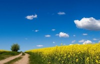 kham pha xu kim chi truoc tran cau sinh tu olympic viet nam han quoc