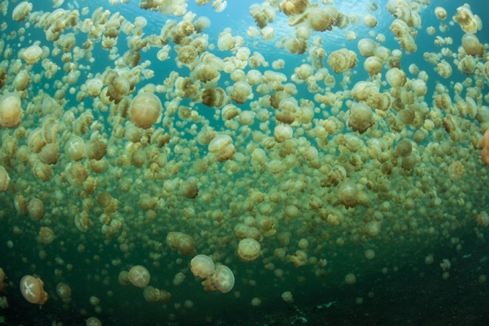 lan kham pha ho sua vang dep nhat hanh tinh