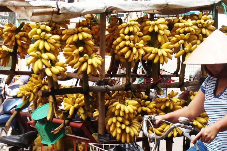 viet nam xuc tien dau tu va hop tac thuong mai tai algieria