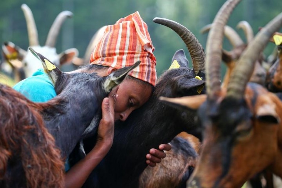 italy nguoi di cu va nghi luc vuon len phi thuong tren vung doi nui