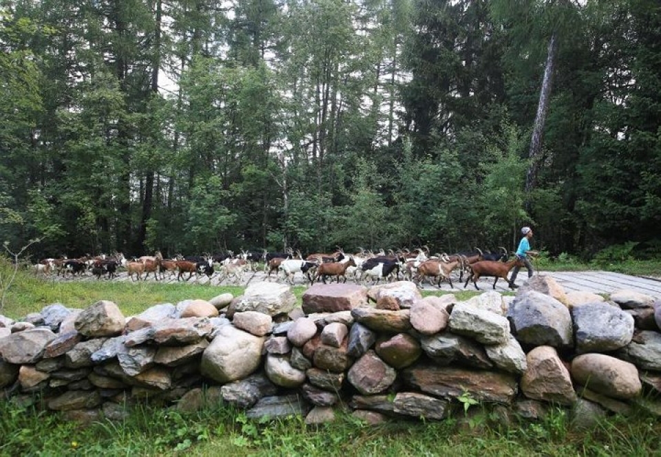 italy nguoi di cu va nghi luc vuon len phi thuong tren vung doi nui