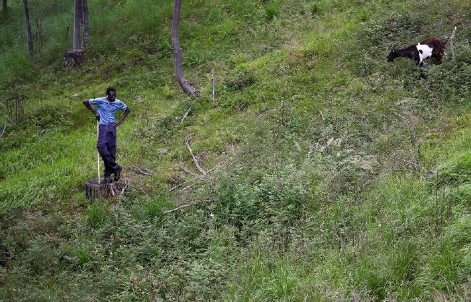 italy nguoi di cu va nghi luc vuon len phi thuong tren vung doi nui
