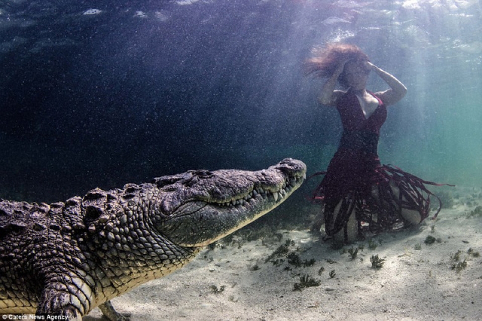 chiem nguong bo anh nguoi dep ben ca sau