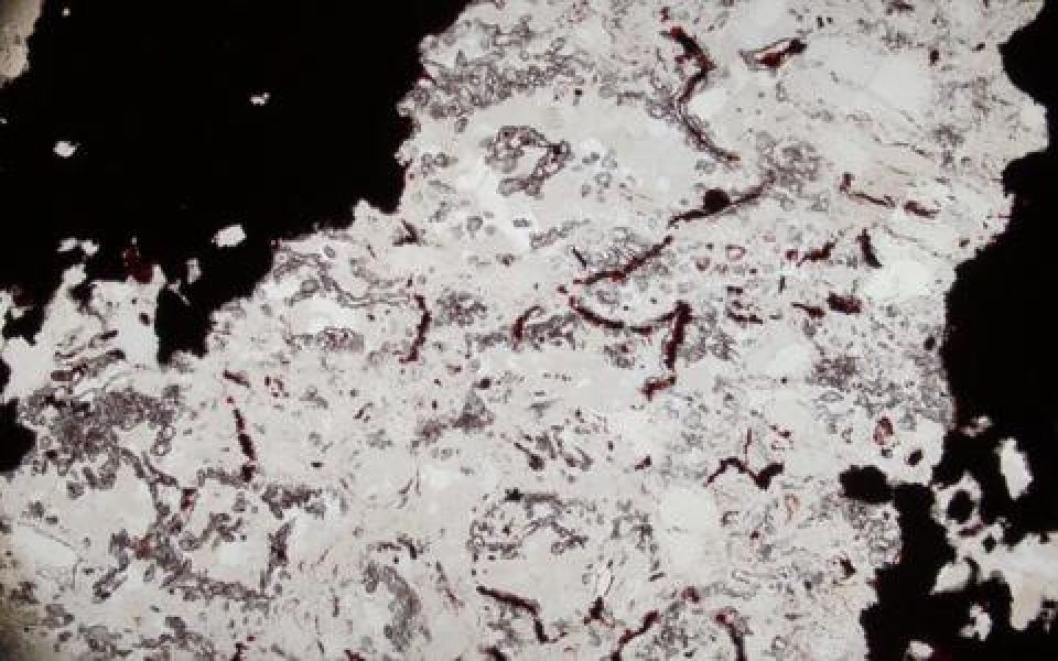 su song co the tung ton tai tren mat trang 4 ty nam truoc