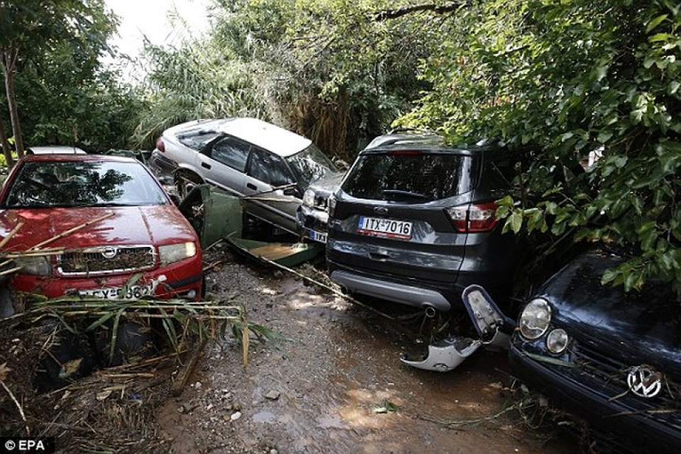 hy lap dong lu du cuon phang o to tren duong pho athens