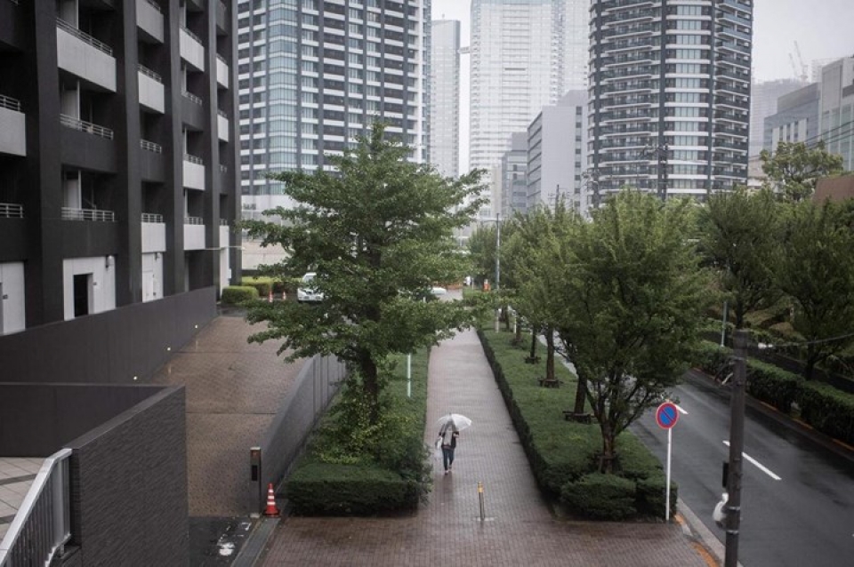 het lu lut va nang nong nhat ban lai hung chiu bao lon jongdari