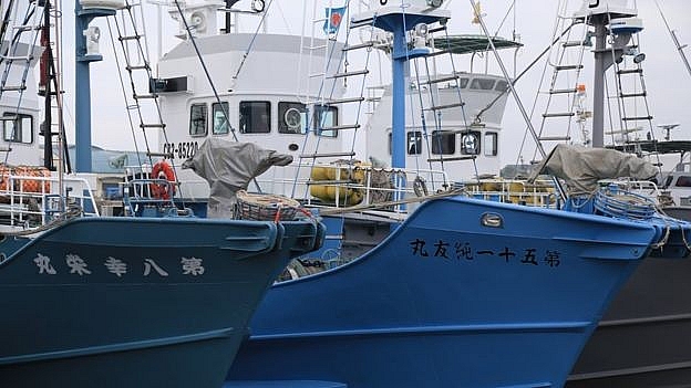 nhat ban noi lai viec danh bat ca voi