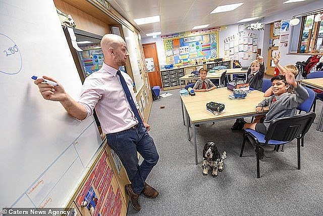 anh chu cho thong minh giup thay giao khiem thinh tu tin dung tren buc giang