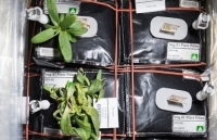 robot thay phi hanh gia cua nga tren tram iss co dac diem gi