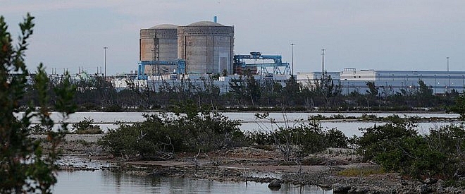 ca sa u my ba t ngo sinh soi ma nh quanh nha may hat nhan