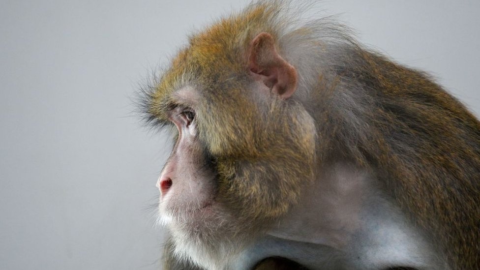 0010112161180 gettyimages 1130349144