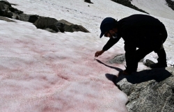 Xuất hiện băng tuyết màu hồng bí ẩn trên dãy Alps