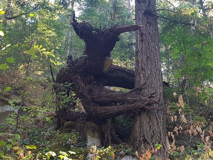 nhung hinh anh khien ban phai thot len that dang kinh ngac