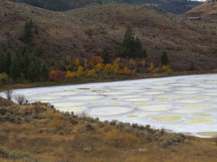 nhung hinh anh khien ban phai thot len that dang kinh ngac