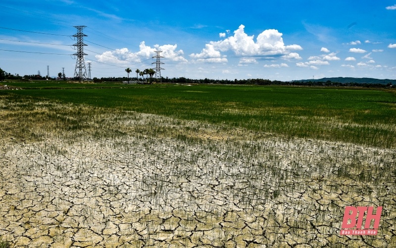 Dự báo thời tiết đêm nay và ngày mai 17 18 7 Trung du và đồng bằng Bắc Bộ có nơi đặc biệt gay gắt chiều tối mưa rào vài nơi du bao thoi tiet dem nay va ngay mai 17 187 trung du va dong bang bac bo co noi dac biet gay gat chieu toi mua rao vai noi