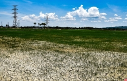 Dự báo thời tiết đêm nay và ngày mai (17-18/7): Trung du và đồng bằng Bắc Bộ có nơi đặc biệt gay gắt, chiều tối mưa rào vài nơi