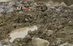 1742 photo1595476588458 15954765892141021895430