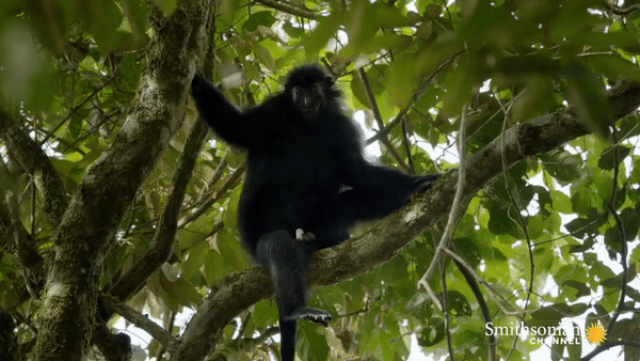 2420 ezgifcomvideotogif 23 1595910791020