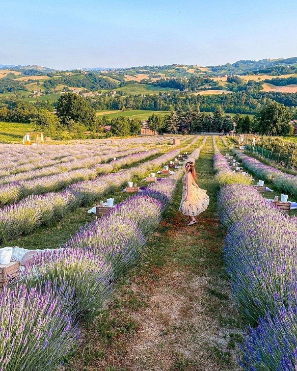Thời tiết dần chuyển sang hè cũng là lúc mùa hoa oải hương ở Italy nở rộ. Trước khi thu hoạch hoa để điều chế tinh dầu, các trang trại sẽ mở cửa đón khách tham quan, ngắm cảnh. (Nguồn: 