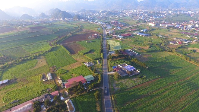 "Mướt mắt" ngắm đồi chè xanh ngắt ở thị trấn Nông trường Mộc Châu