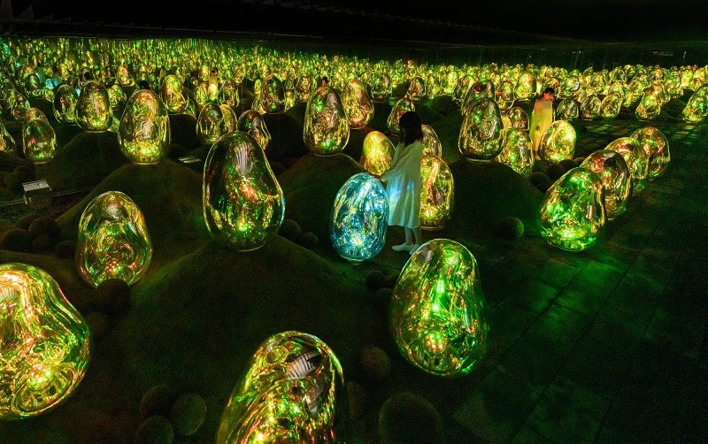 Mê mẩn với triển lãm hiệu ứng 3D từ 13.000 cây hoa lan ở Nhật Bản