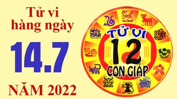 Tử vi hôm nay, xem tử vi 12 con giáp ngày 14/7/2022: Tuổi Dần chăm chỉ làm việc