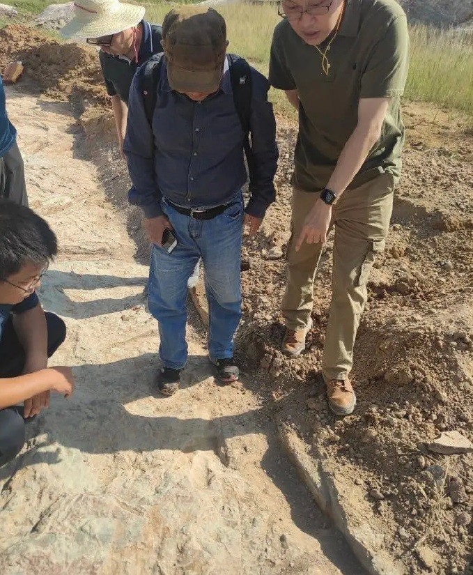 dấu chân khủng long 150 triệu năm tuổi dấu chân khủng long 150 triệu năm tuổi