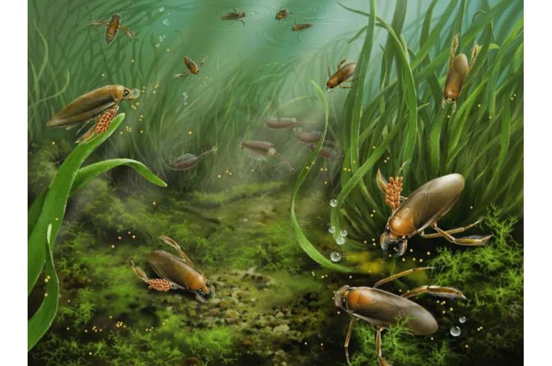 Trung Quốc: Côn trùng biết bảo vệ trứng cách nay hơn 161 triệu năm