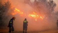 Hy Lạp, Italy nỗ lực dập cháy rừng lan rộng do nhiệt độ tăng cao