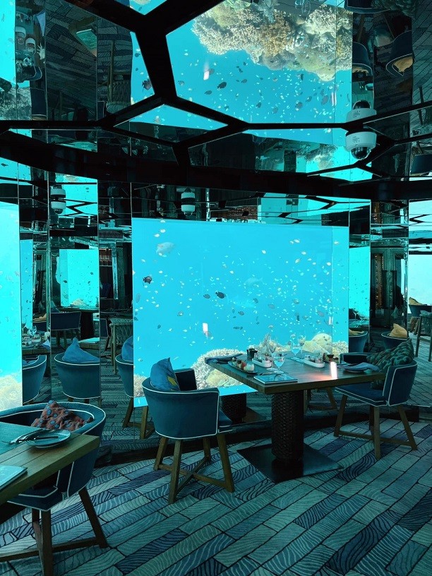 Mỗi bàn ăn được bố trí sát cửa kính, để thực khách chiêm ngưỡng thế giới thủy cung với vô số loài cá tung tăng bơi lội dưới làn nước xanh màu ngọc bích. Nhà hàng mở cửa từ 8h30 đến 22h.