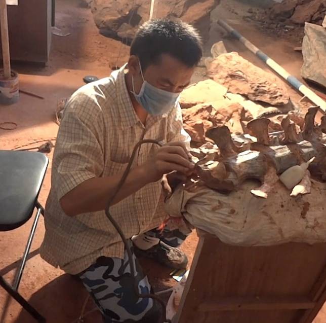 Trung Quốc: Khủng long Trung Quốc: Khủng long