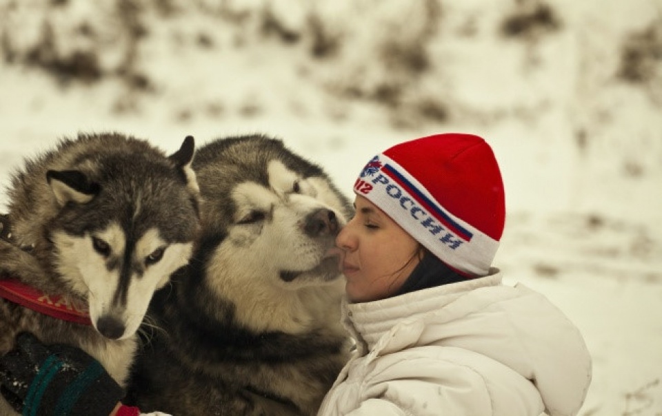 nhung buc anh doc dao danh lua thi giac nguoi xem