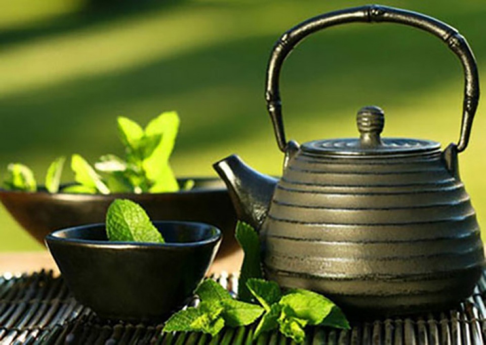 chua bach benh nho tra bac ha