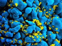 gsk duoc phep san xuat vaccine phong benh zona than kinh