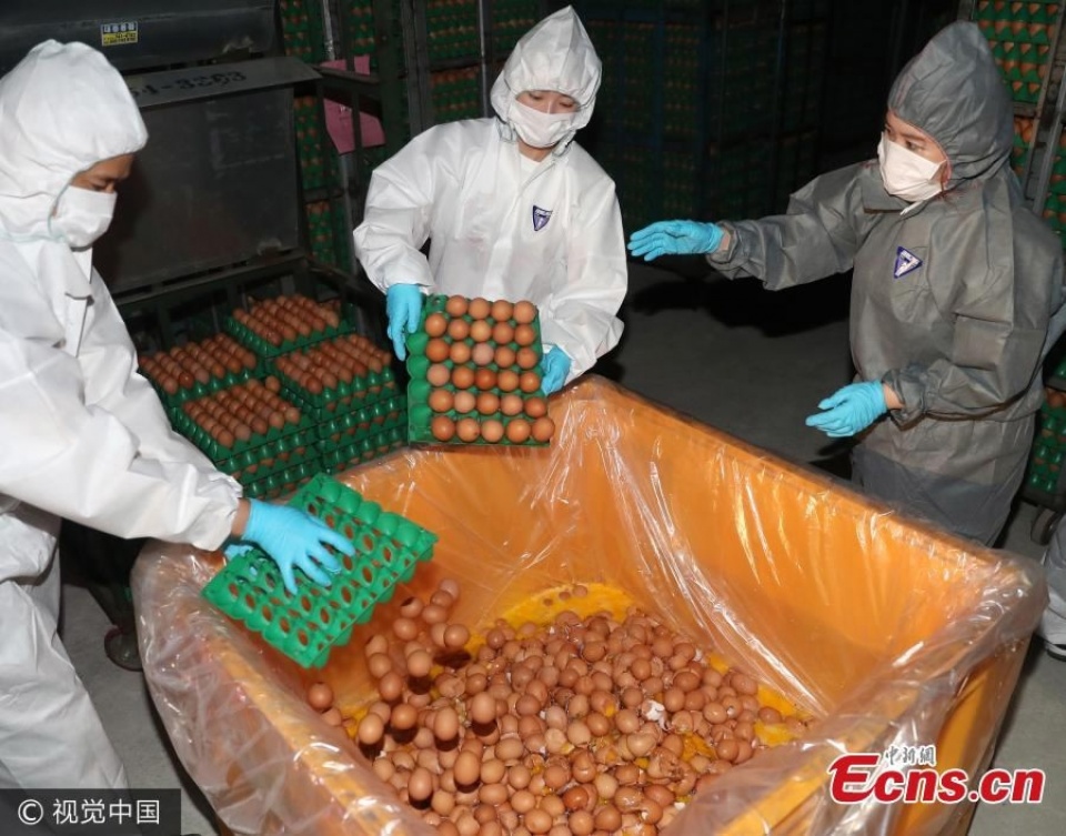 tong thong han quoc xin loi nguoi dan ve be boi trung ban