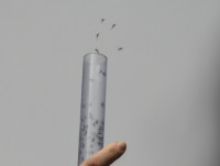 thai lan ra mat cong cu ha guc 1 trieu con muoi trong 4 tuan