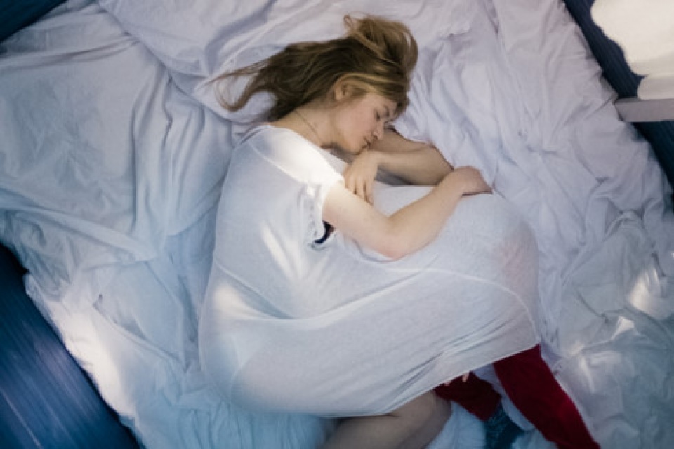 lien hoan phim duc lan thu 8 tai viet nam nhieu bo phim hap dan duoc trinh chieu