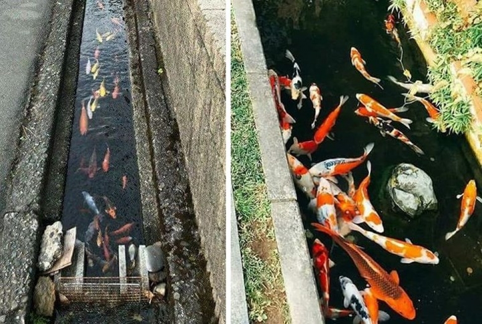 nhung dieu thu vi chi co tai nhat ban