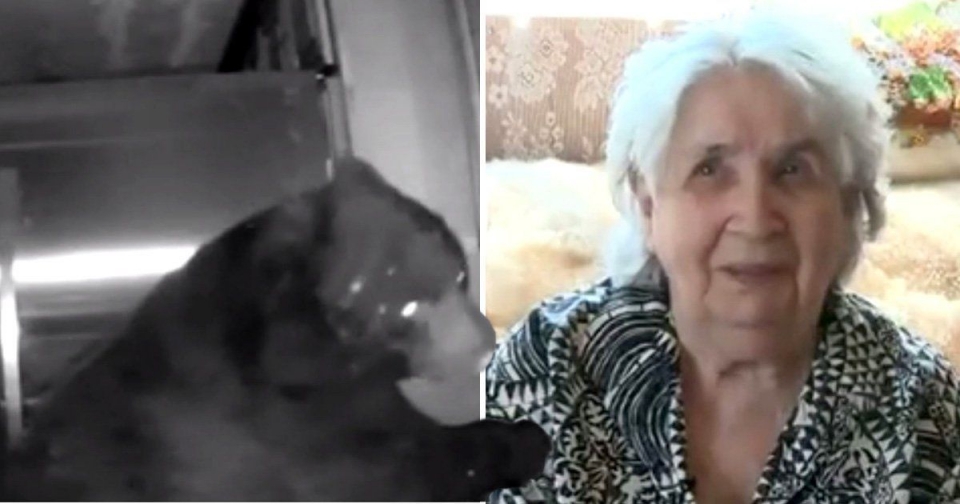 canada cu ba 95 tuoi tay khong duoi gau den ra khoi nha