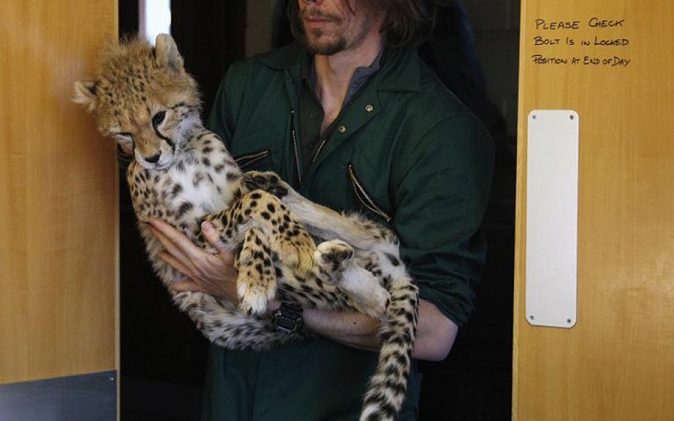 khi dong vat hoang da phai vao benh vien